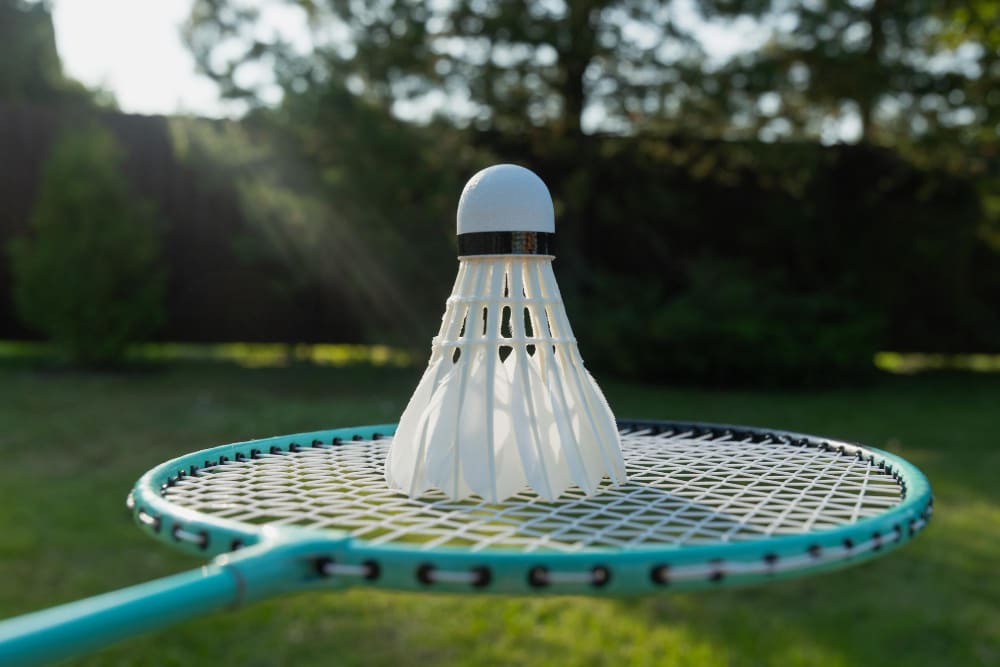badminton paris en ligne