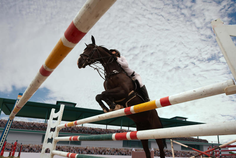 pronostic course chevaux đ Tout sur pronostics courses chevaux turf en France