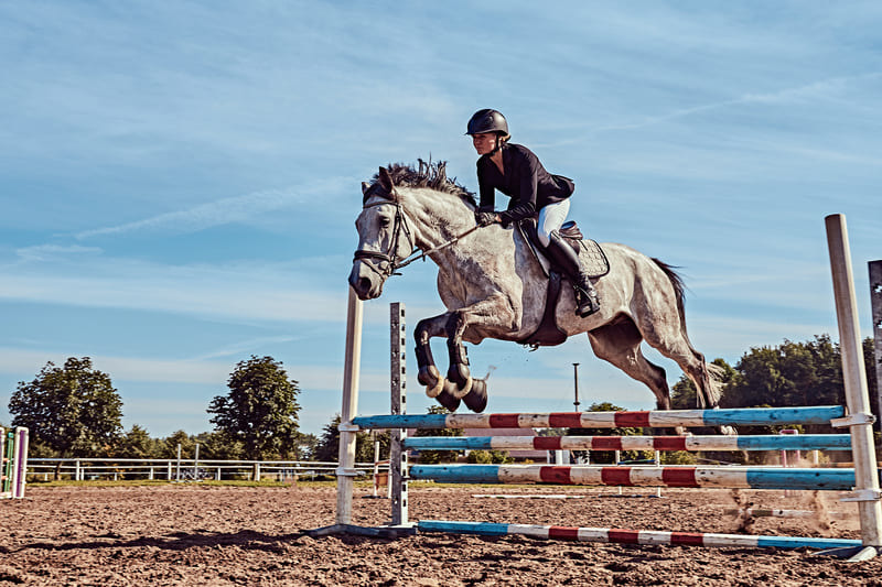 pronostic chevaux đ Tout sur pronostics courses chevaux turf en France