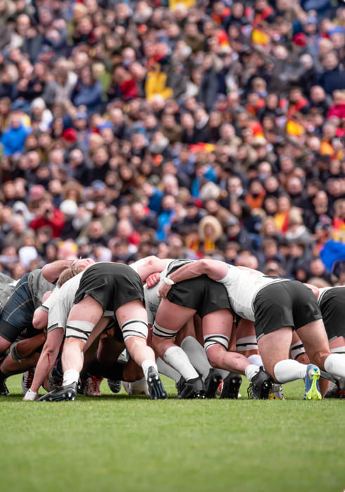 pronostics rugby pronostics rugby